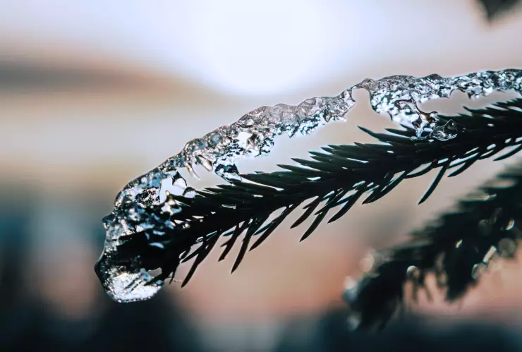 Tormenta invernal a Guanajuato temperaturas bajo cero y rachas de viento.png