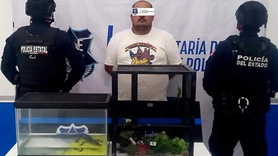 cocodrilo 