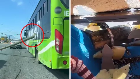 Un poste de madera salió proyectado y terminó incrustado en un camión urbano