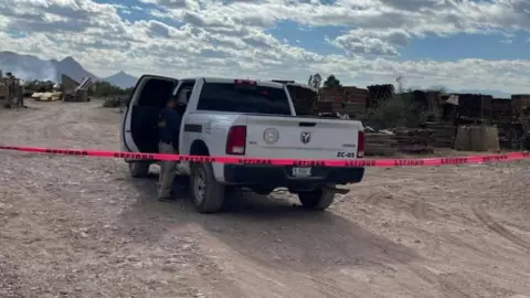 cuerpo en avanzado estado de descomposición en una nogalera