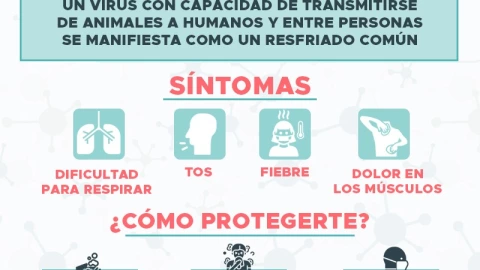 WhatsApp Image 2020-02-28 at 21.19.15.jpeg