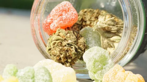 Niño murió tras comer gomitas de THC, acusan de asesinato a la mamá