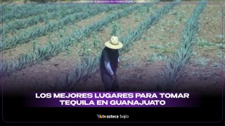 PORTADA SITIO TEQUILA GTO.png