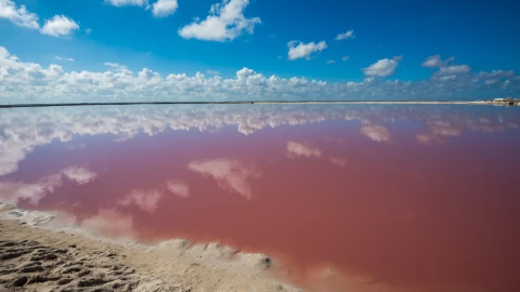 laguna color rosa México