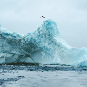 molly-carlson-hace-historia-un-salto-casi-15-metros-desde-un-iceberg