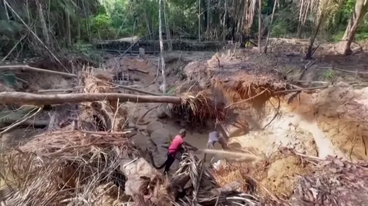 Deforestación devora bosques en Brasil; aumenta 80%.