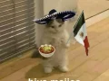2. Memes Mexico Brasil .jpg