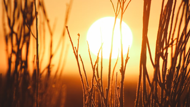 Ola de calor rompe récord: termómetros en Baja California y Sonora superan 45 °C