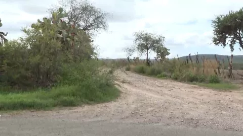brecha a La Troje Lagos de Moreno.jpg