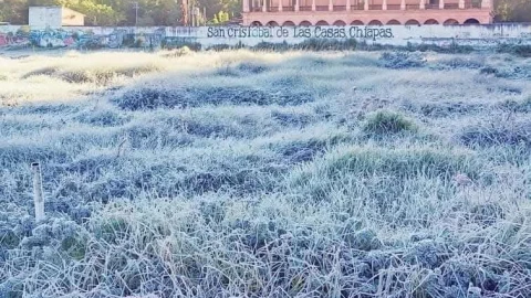 Helada San Cristóbal