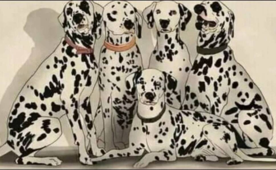 Resuelve este desafío visual en 8 segundos, ¿podrás