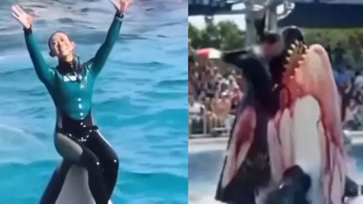 ¿Qué pasó en realidad con la entrenadora Jessica Radcliffe?