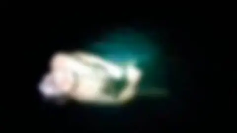 Filtran FOTOS de hombre hallado SIN VIDA en laguna de la Península