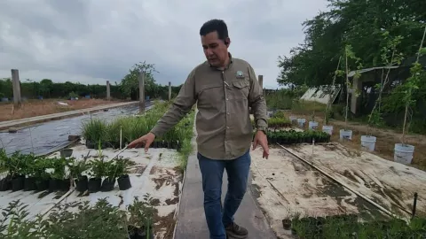 Roberto siembra árboles en Culiacán