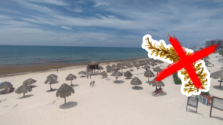 Playas libres de sargazo en Quintana Roo este 27 de julio de 2025_ Lista desde Holbox, Cancún y hasta Tulum.jpg