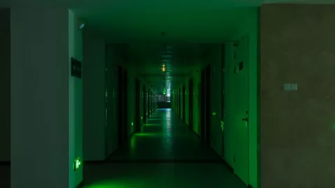 Backroom ¿Qué son?