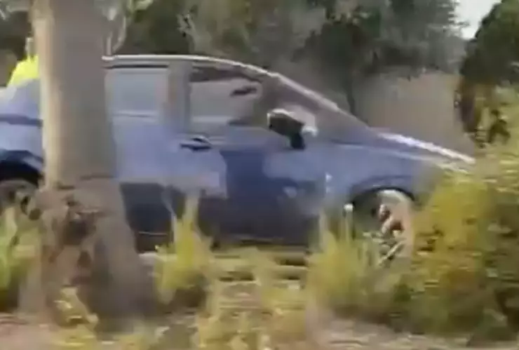 qué pasó en lomas de angelópolis en puebla hoy