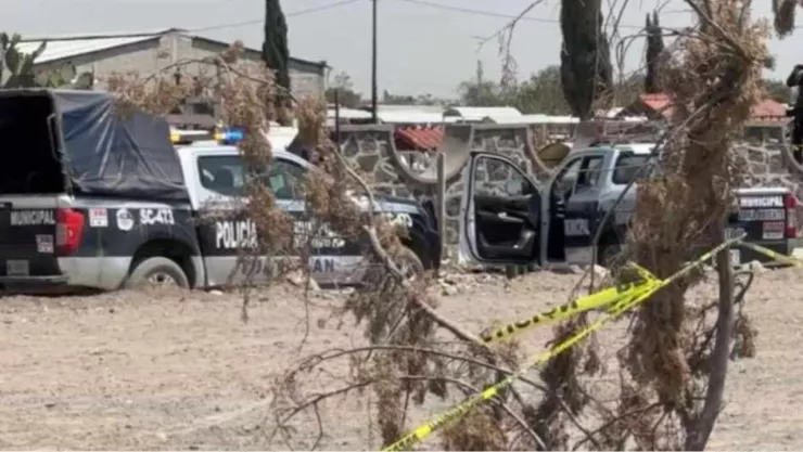 ¡De terror! Vecinos captan a un perro con una pierna humana en el hocico