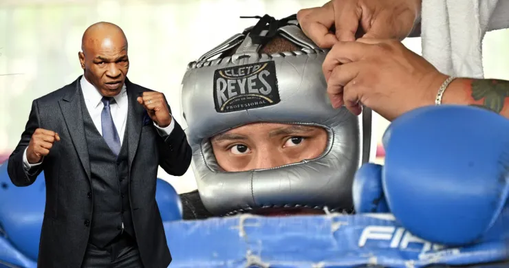 pitbull cruz mike tyson boxeo
