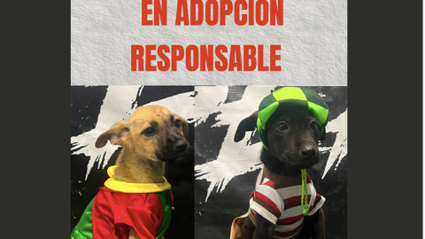 Chavo y chilindrina
