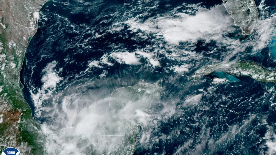 Karl remanentes1.jpg