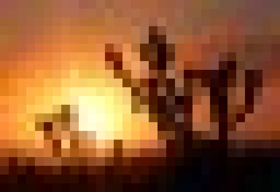 El presidente Enrique Peña Nieto señaló que la incorporación de la reserva de la biósfera El Pinacate y el Gran Desierto de Altar al listado de patrimonio mundial, alienta al gobierno federal a seguir trabajando