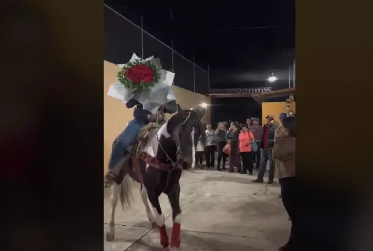 Novio pide matrimonio a caballo