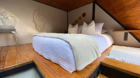 Bosque Geom&eacute;trico