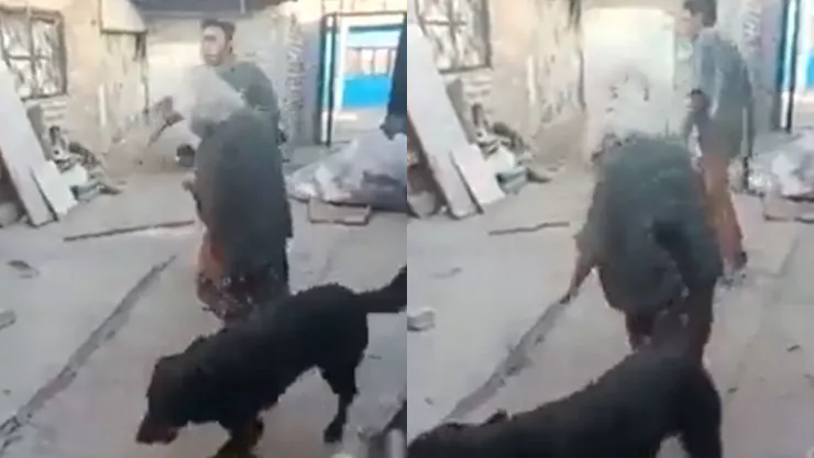 VIDEO Joven golpea a su abuelita con un tubo en Ecatepec