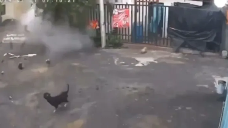 VIDEO: Deslave en cerro del Topo Chico en Monterrey deja casas dañadas