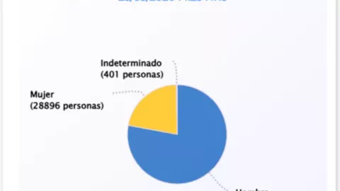 Versión estadística del Registro Nacional de Personas Desaparecidas o No Localizadas