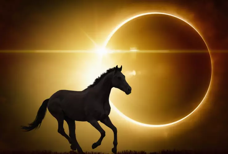 ¿Qué le sucede a los animales con el eclipse solar?