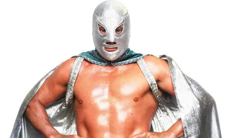 el santo dia lucha libre