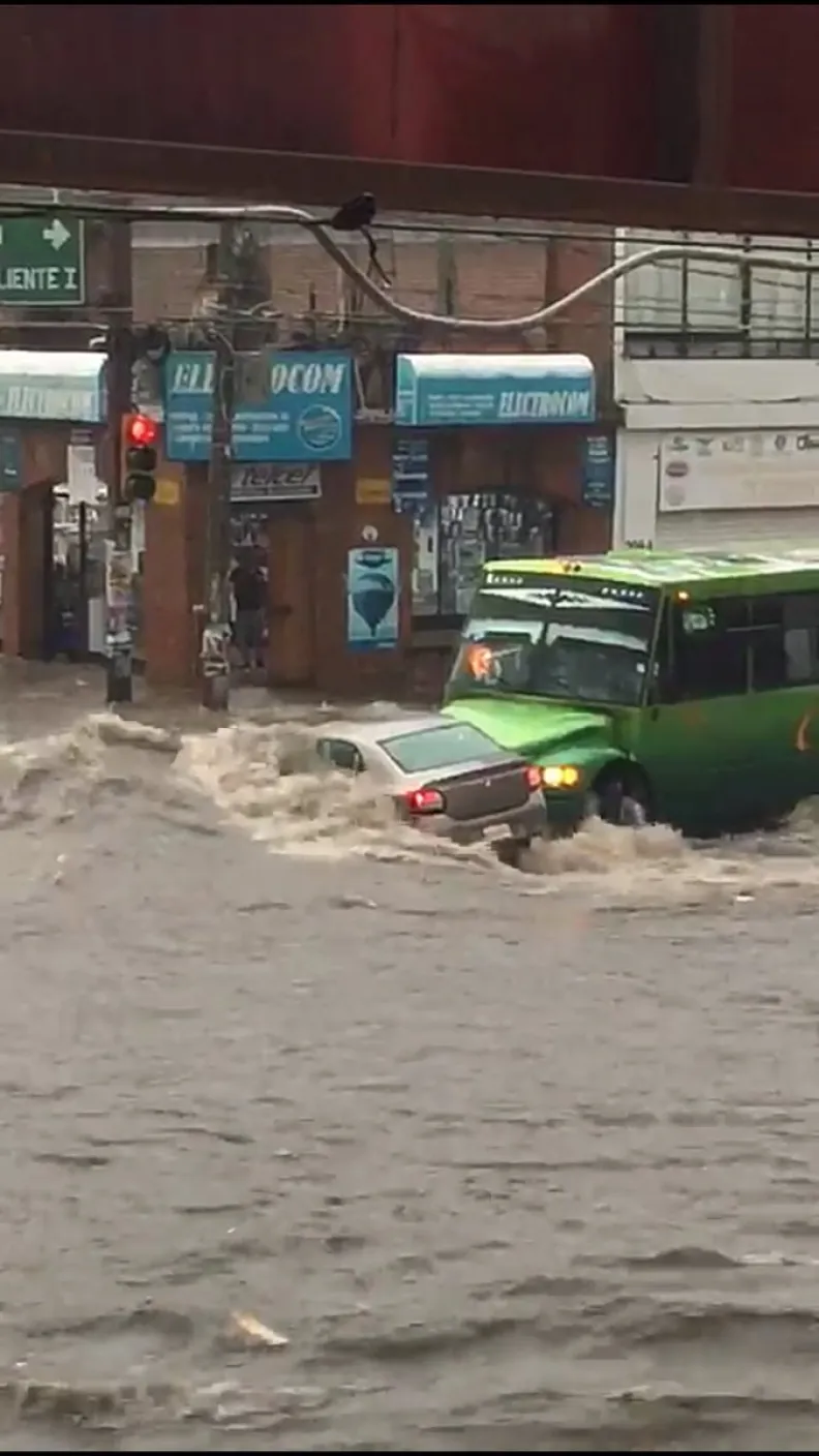 Este auto detuvo su camino gracias a un microbús