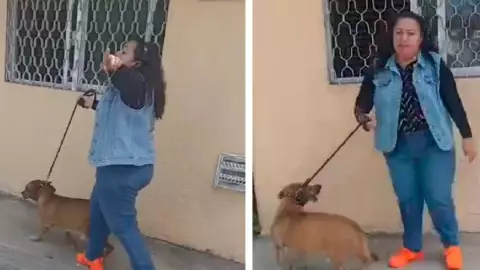 ‘Lady Popo’_ Mujer recibe apodo tras negarse a recoger las heces de su perro; se pone agresiva _ VIDEO.jpg