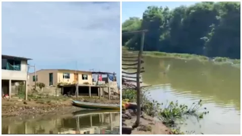 Peces contaminados en río Bitzal, Tabasco