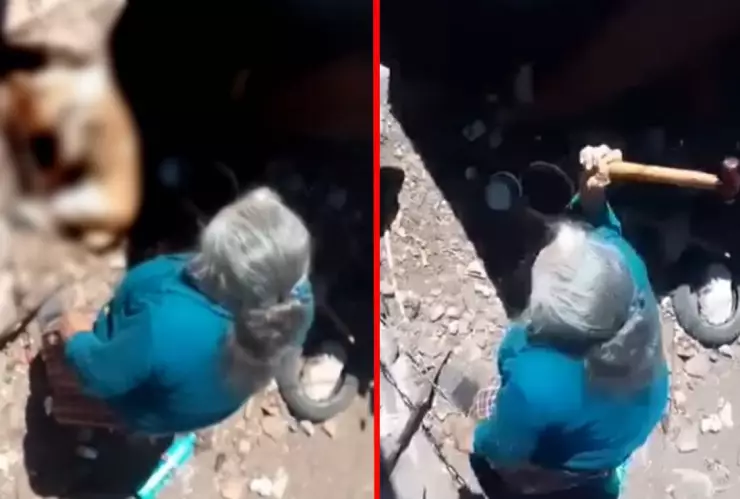 Mujer mata a perro con martillo.-