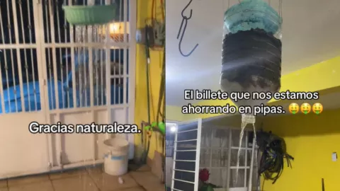 cómo hacer un sistema de captación de agua de lluvia en casa.jpg