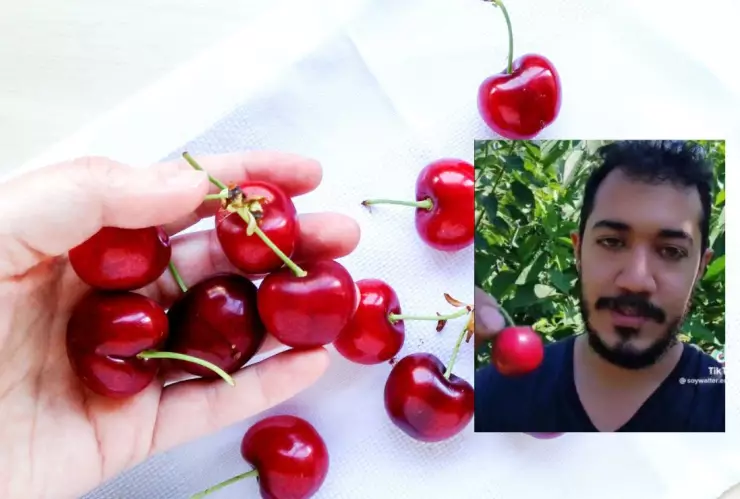 Un Tiktoker en Canadá gana en 4 meses para vivir bien durante un año en México.