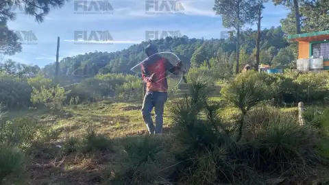El Llanillo.
