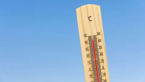 Olas de calor en México 2024