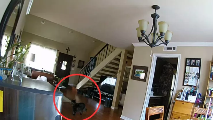 Julián California temblor de hoy lunes 14 de abril de 2025