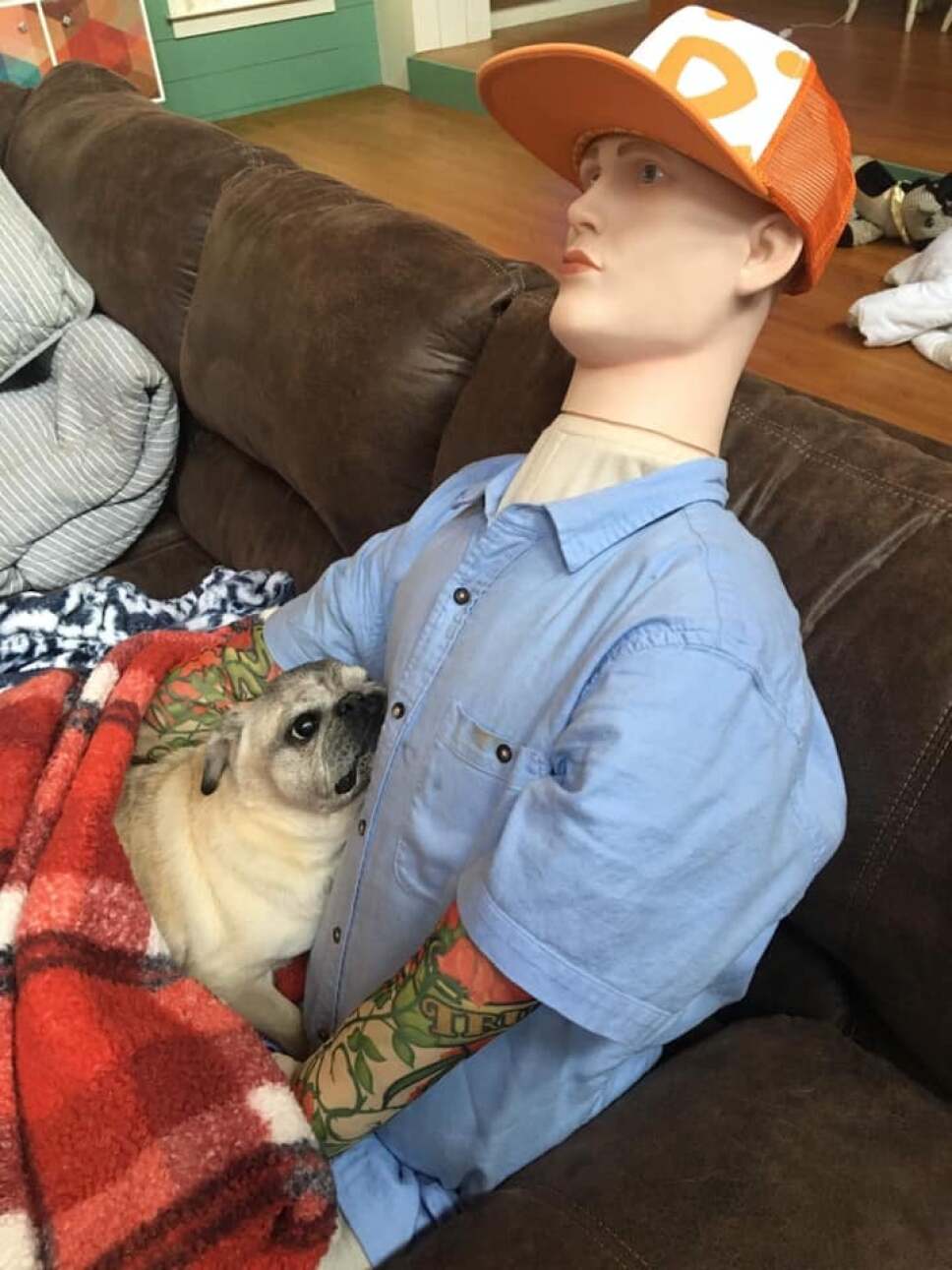Perrito pug, maniquí, dueño c.jpg