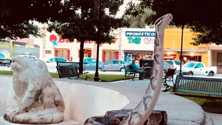 Dueño pasea a su mascota pero provoca pánico en Nuevo León