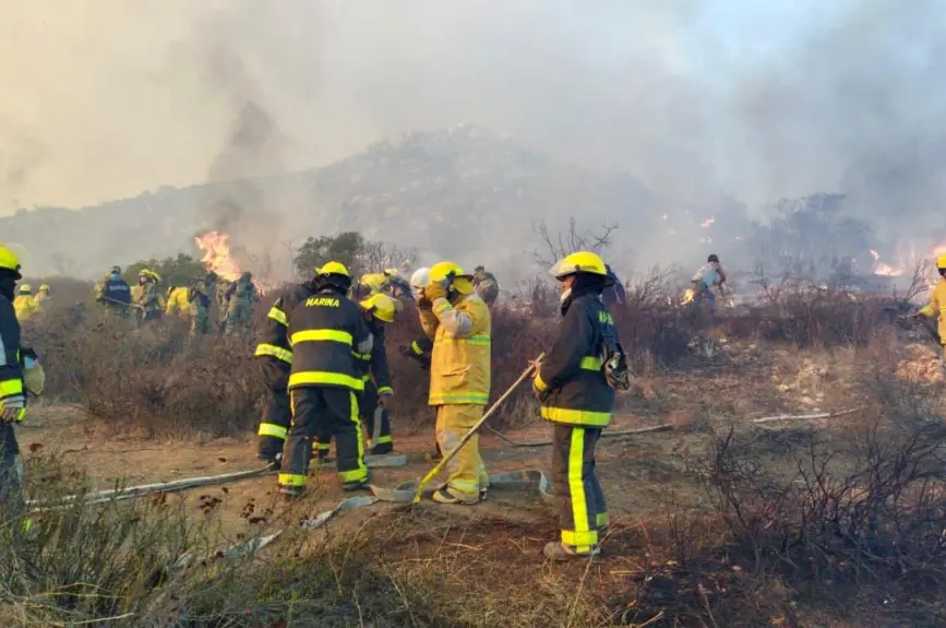 Al momento hay 1,645 personas evacuadas y 3 refugios activos. La mayor afectación se reporta en Ensenada (5,000 hectáreas) y Tecate (1,250 hectáreas).