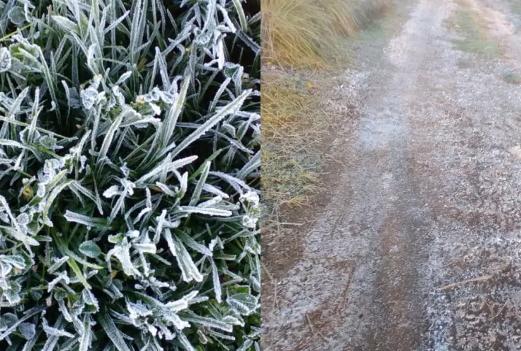 Municipios de Puebla registran temperaturas de hasta 2 grados hoy 11 de octubre de 2024