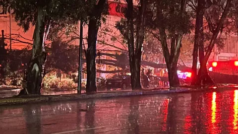 Caída de árbol en el Bulevar Norte