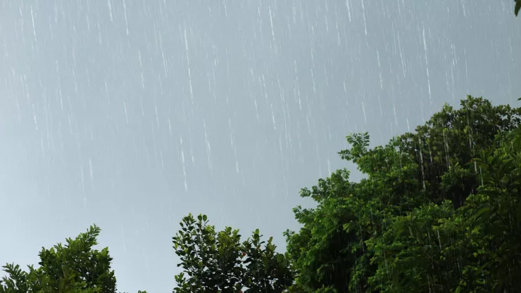 Huracán Priscilla ¿Cuáles estados están en alerta y a qué hora va a llover hoy 8 de octubre en el clima de Aguascalientes