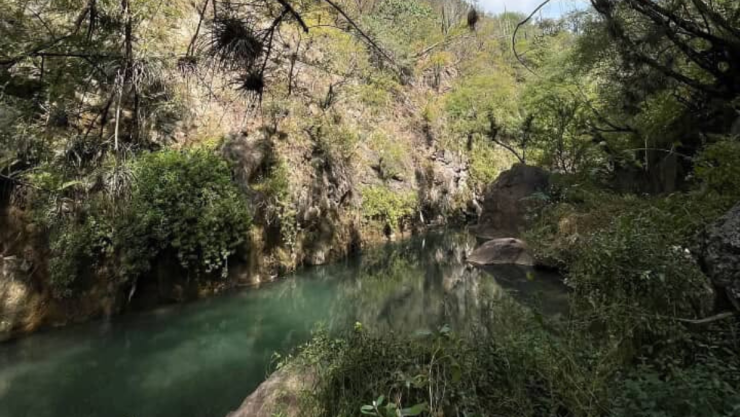 Jalisco.png