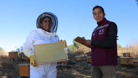 ‘Programa Altépetl Bienestar 2024'